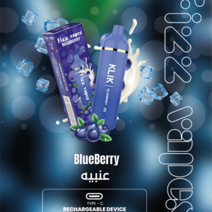 BlueBerry-Flyer-01.png